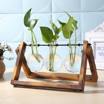 Glass And Wood Vase Planter Table Desktop