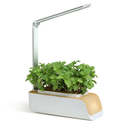 Green Thumb Assistant: The Smart Flower Pot For Effortless Gardening