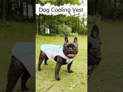 Breathable Summer Dog Cooling Vest