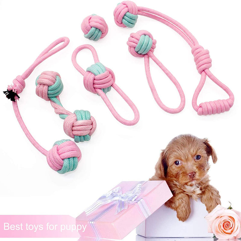 Pet Dog Chew Toys-KWB Lifestyle