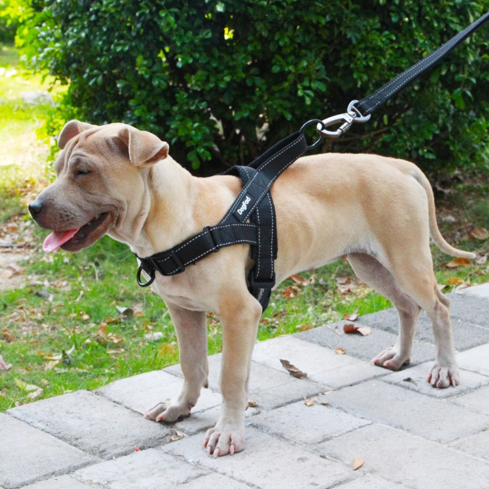 Hug Your Pup: The Adjustable Dog Harness-KWB Lifestyle