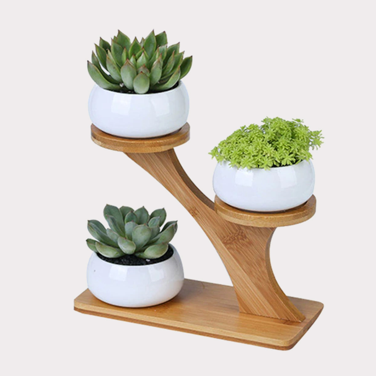 Succulent Pots & Bamboo Shelf-KWB Lifestyle