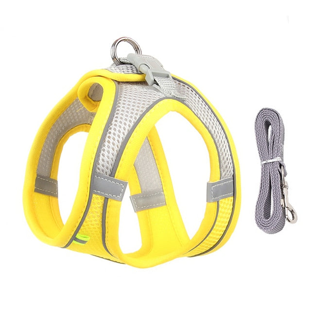 Small Dog Harness Leash Set-KWB Lifestyle