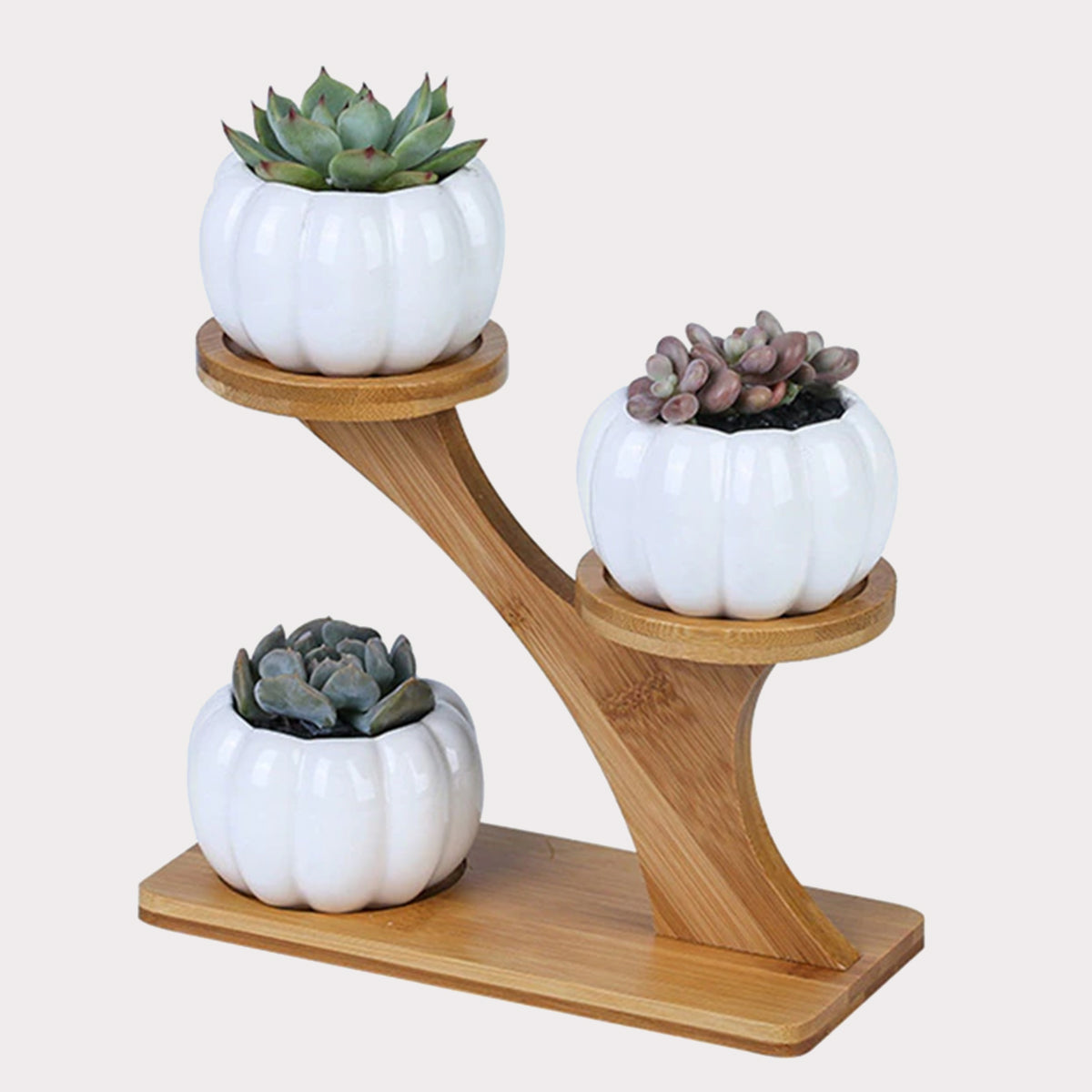 Succulent Pots & Bamboo Shelf-KWB Lifestyle