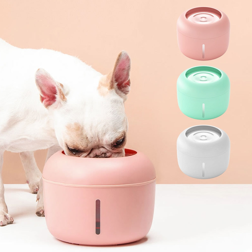 Pet Drinking Bowl-KWB Lifestyle