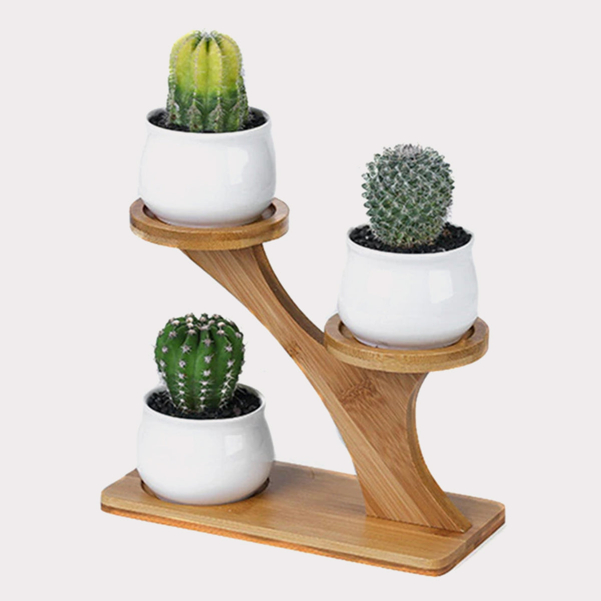 Succulent Pots & Bamboo Shelf-KWB Lifestyle