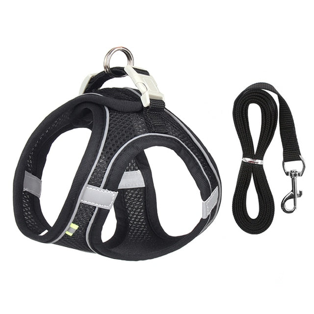 Small Dog Harness Leash Set-KWB Lifestyle