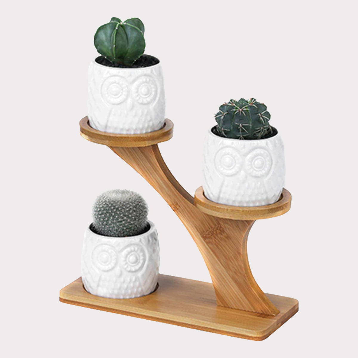 Succulent Pots & Bamboo Shelf-KWB Lifestyle