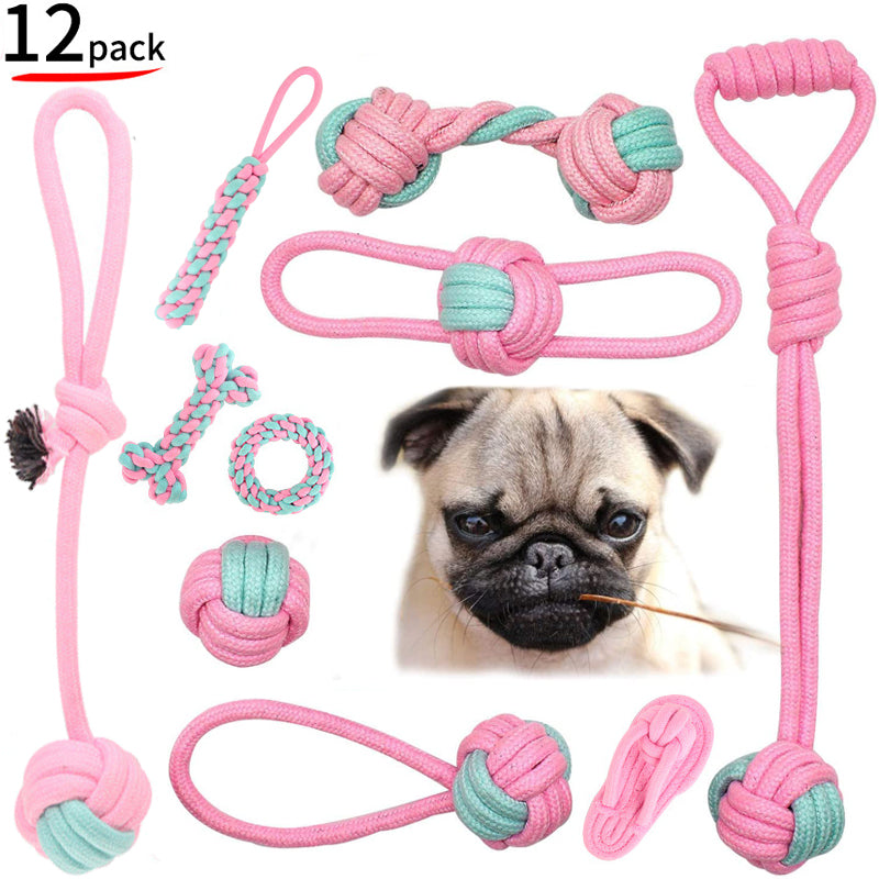 Pet Dog Chew Toys-KWB Lifestyle