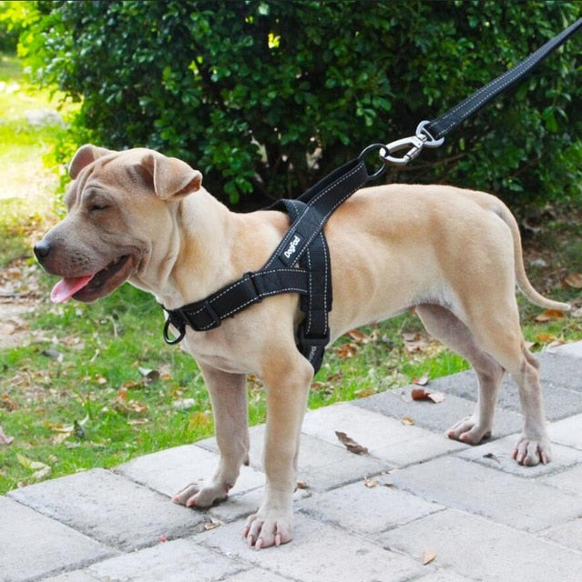 Hug Your Pup: The Adjustable Dog Harness-KWB Lifestyle