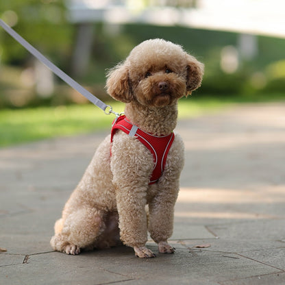 Small Dog Harness Leash Set-KWB Lifestyle