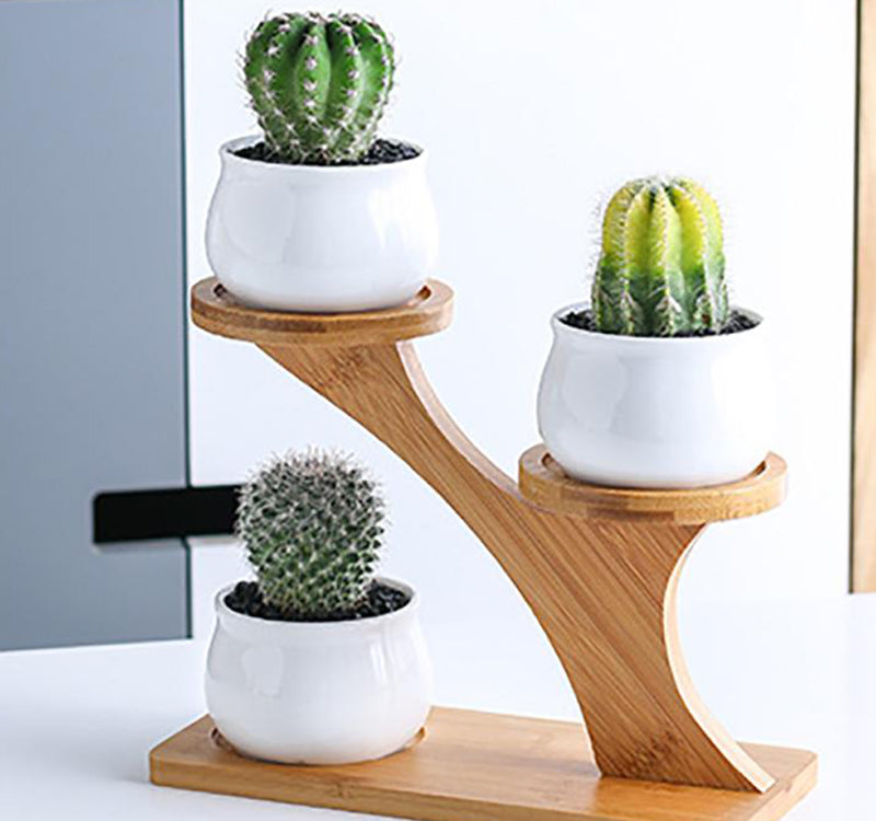 Succulent Pots & Bamboo Shelf-KWB Lifestyle