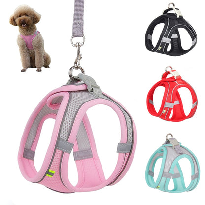 Small Dog Harness Leash Set-KWB Lifestyle