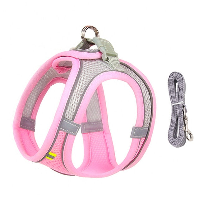 Small Dog Harness Leash Set-KWB Lifestyle