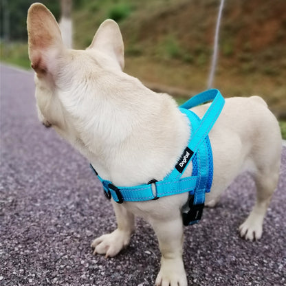 Hug Your Pup: The Adjustable Dog Harness-KWB Lifestyle