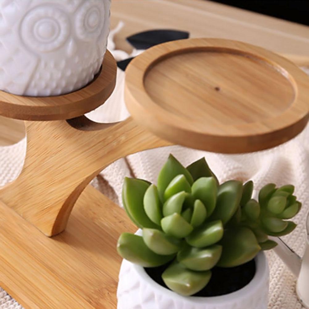 Succulent Pots & Bamboo Shelf-KWB Lifestyle