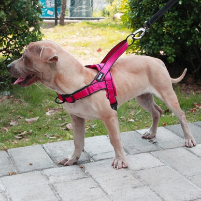 Hug Your Pup: The Adjustable Dog Harness-KWB Lifestyle