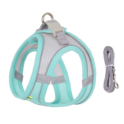 Small Dog Harness Leash Set-KWB Lifestyle