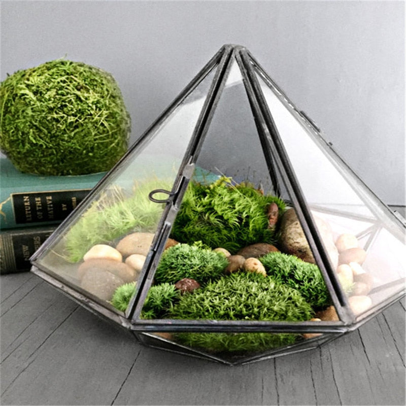 Glass Terrarium-KWB Lifestyle