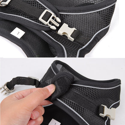 Small Dog Harness Leash Set-KWB Lifestyle