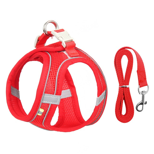 Small Dog Harness Leash Set-KWB Lifestyle