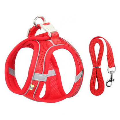 Small Dog Harness Leash Set-KWB Lifestyle