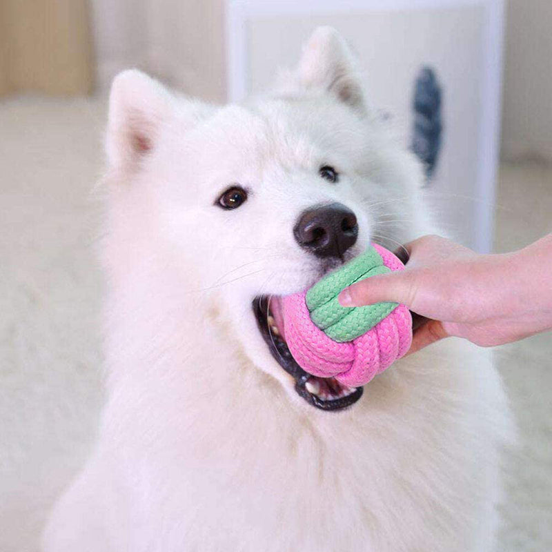 Pet Dog Chew Toys-KWB Lifestyle