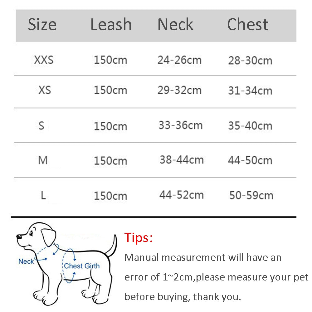 Small Dog Harness Leash Set-KWB Lifestyle