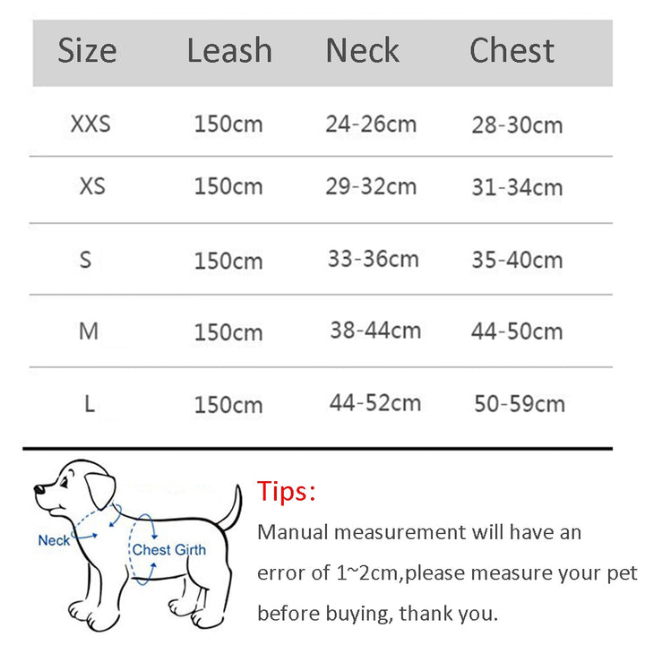 Small Dog Harness Leash Set
